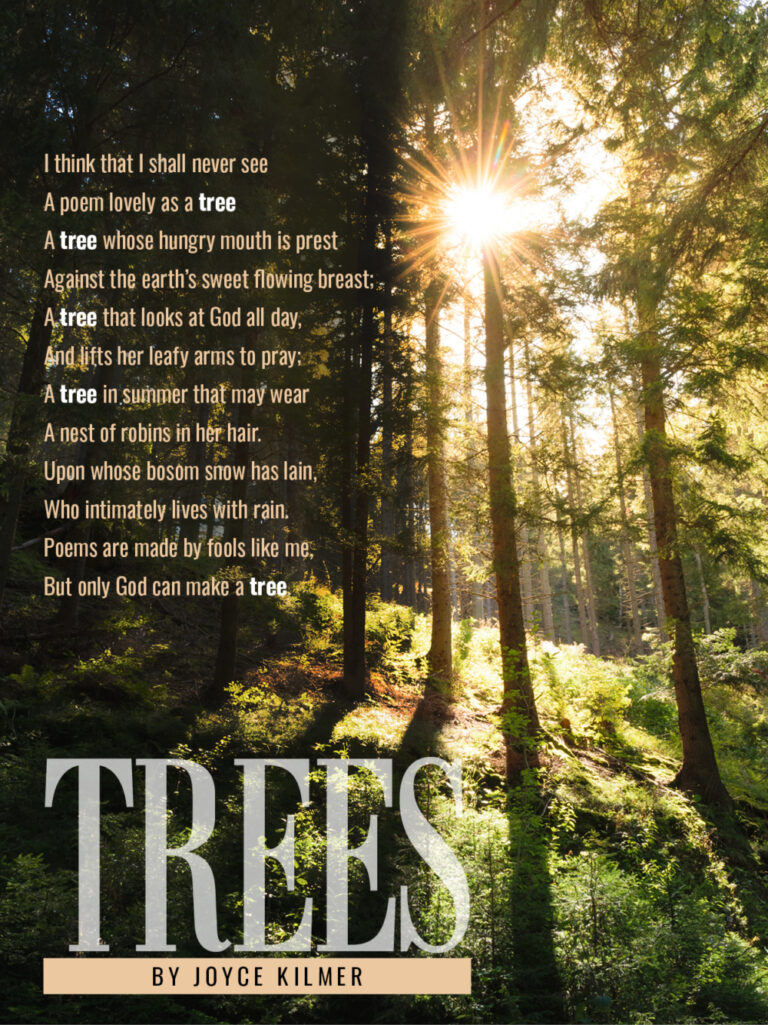 Trees Poem JG E1684429417582 768x1025 